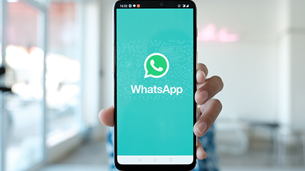 O WhatsApp a favor do negócio