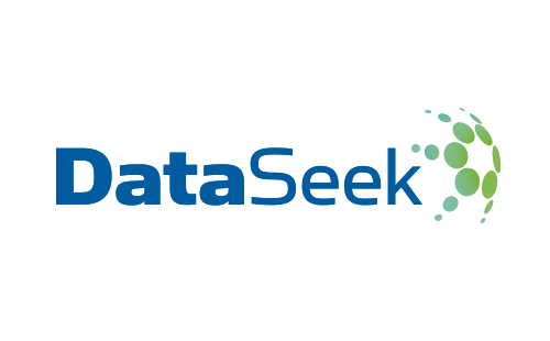 DataSeek - Logotipo