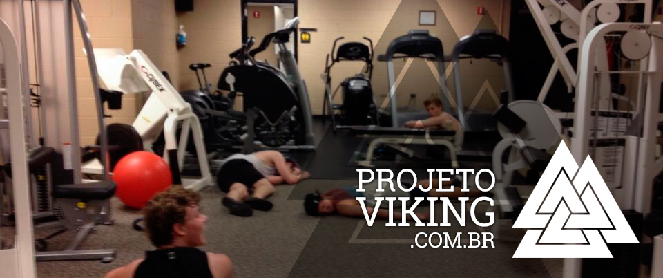 PROJETO_VIKING_IMG