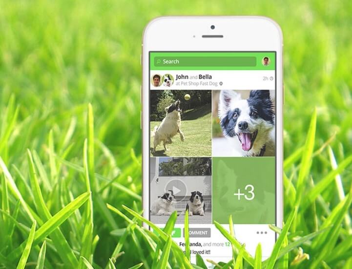 Rede social Sniff permite criar perfil para os pets